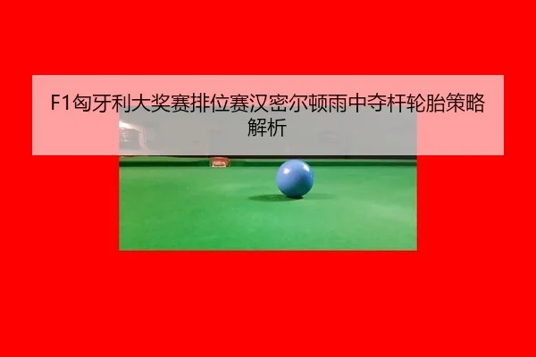 F1匈牙利大奖赛排位赛汉密尔顿雨中夺杆轮胎策略解析