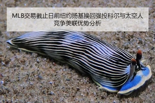 jiao-yi-jie-zhi-ri-qian-niu-yue-yang-ji-huan-hui-qiang-tou-ke-er-yu-tai-kong-ren-jing-zheng-mei-lian-you-shi-fen-xi-3-227.jpg
