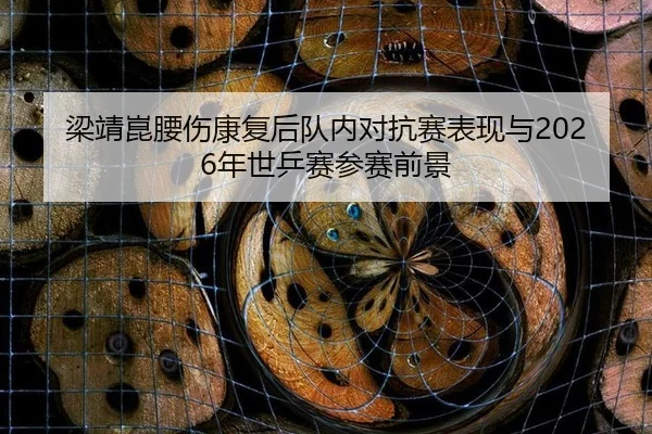 梁靖崑腰伤康复后队内对抗赛表现与2026年世乒赛参赛前景